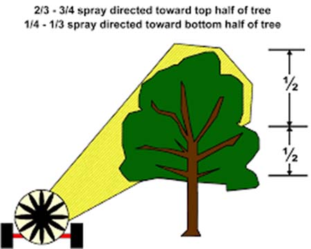 اصول سمپاشی درختان